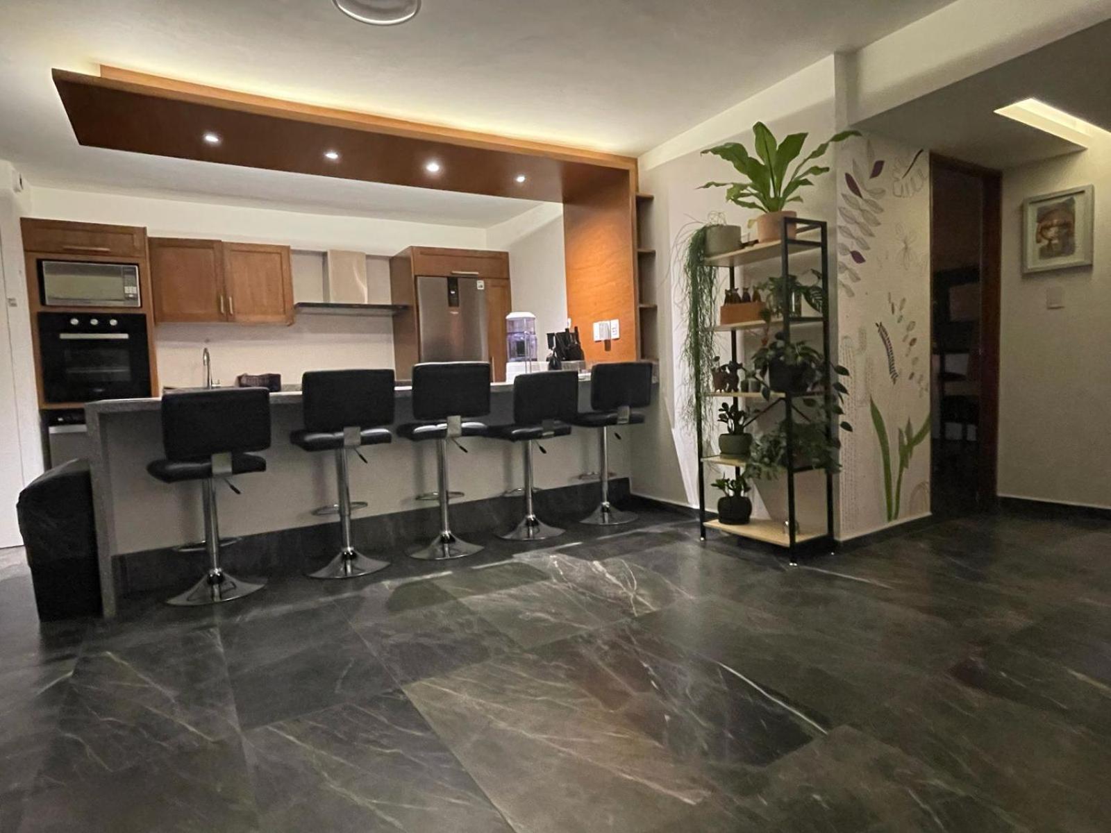 Great Apartment In The Heart Of Coyoacan Mexico City Exterior photo